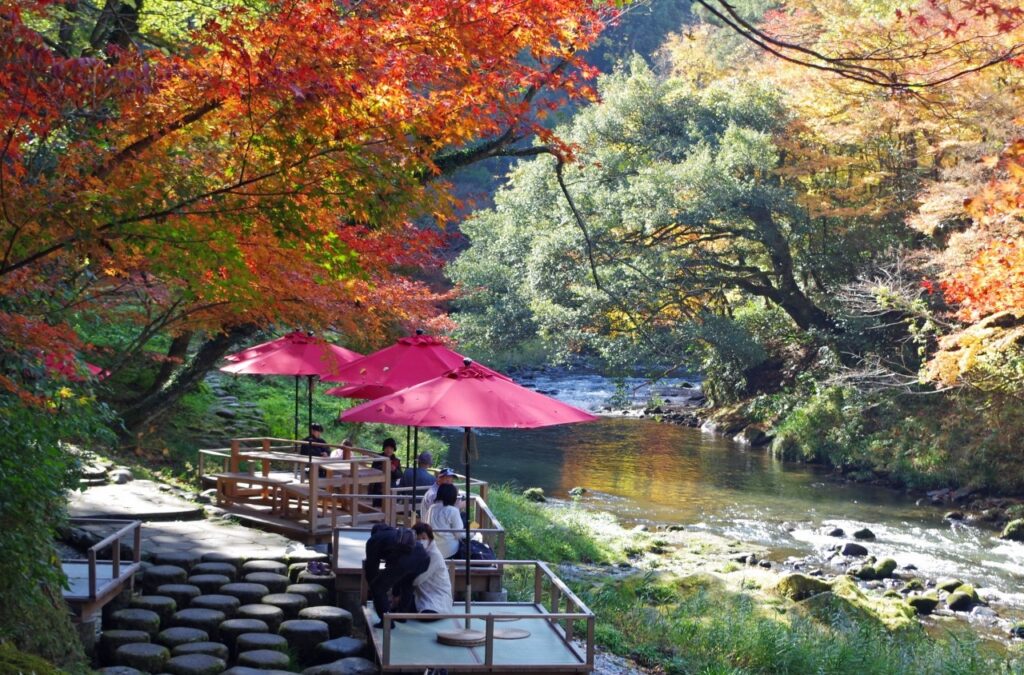 鶴仙渓の川沿いに設けられた川床と秋の紅葉景色